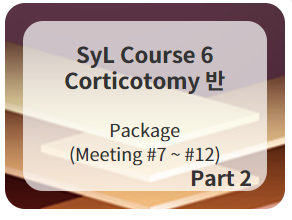 SyL Course 6 Corticotomy 반 2