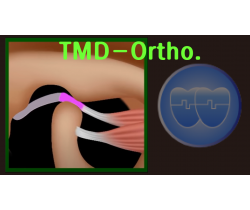 TMD-Ortho. Course